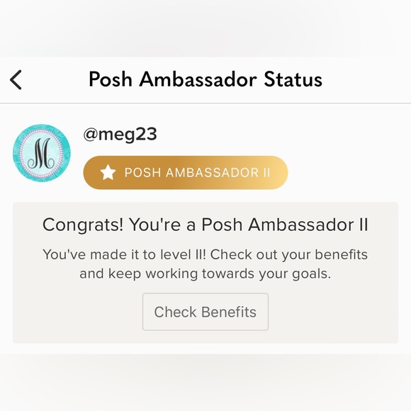 I'm a Poshmark Ambassador - Picture 4 of 4